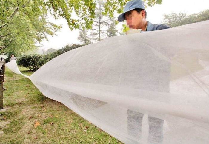 園林無(wú)紡布