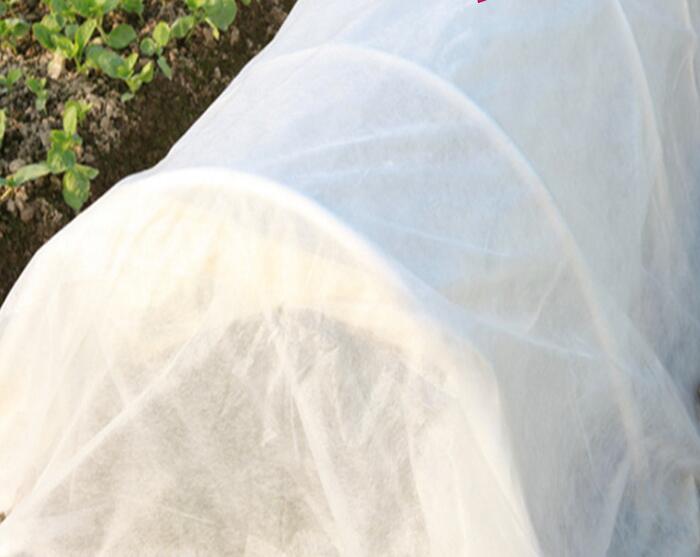 水稻無(wú)紡布產(chǎn)品細(xì)節(jié)圖