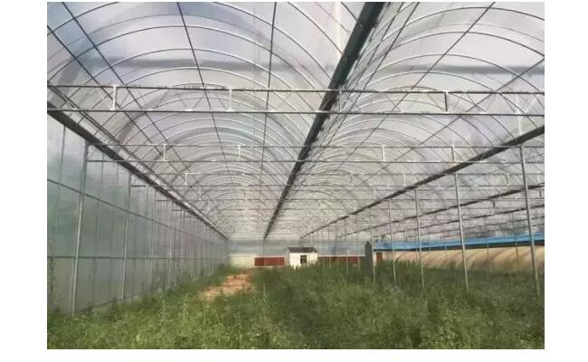 農(nóng)用大棚無(wú)紡布